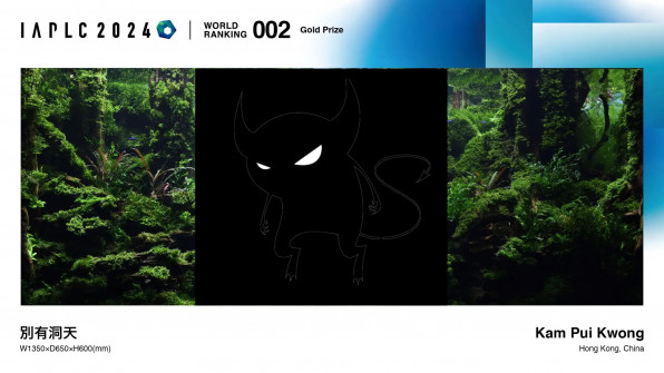 Акваскейп "Пылающие скалы" в поисках души!