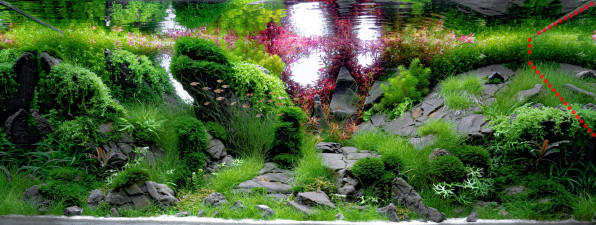 Акваскейп "Пылающие скалы" в поисках души!