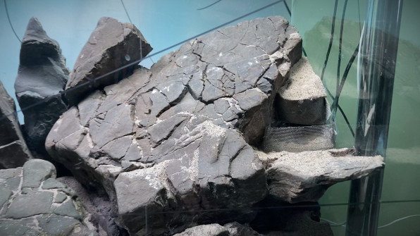 Акваскейп "Пылающие скалы" в поисках души!