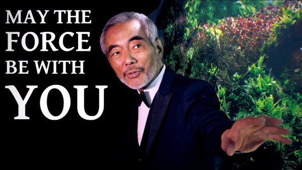 Акваскейп "Пылающие скалы" в поисках души!