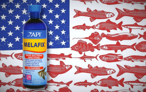 Мелафикс для аквариумных рыбок и все об этом!