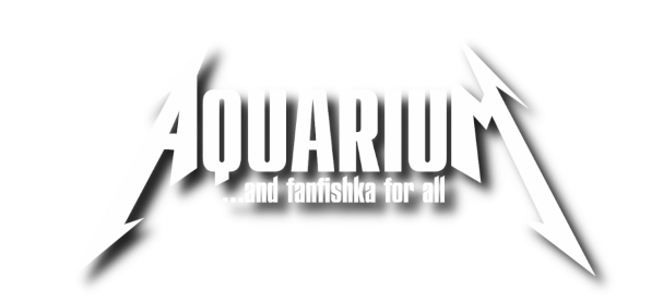 RuTube ФФ-канал