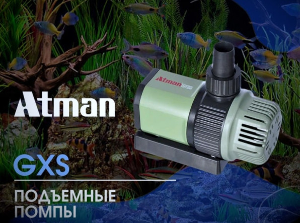 Подъемная помпа для аквариума и пруда: зачем и как выбрать?