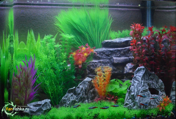 Декорации для аквариума, какие выбрать?