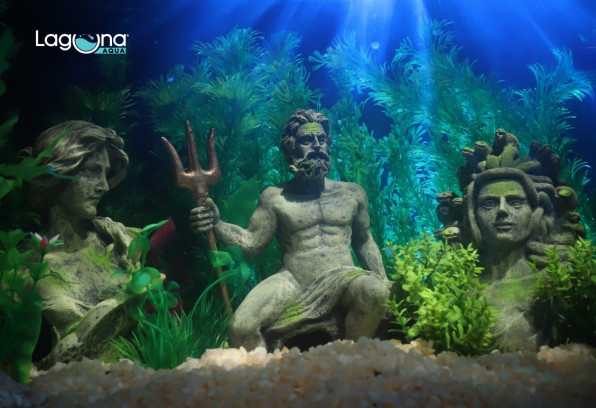 Декорации для аквариума, какие выбрать?