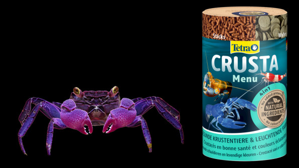 Краб-вампир