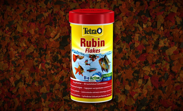 Апистограмма пандуро