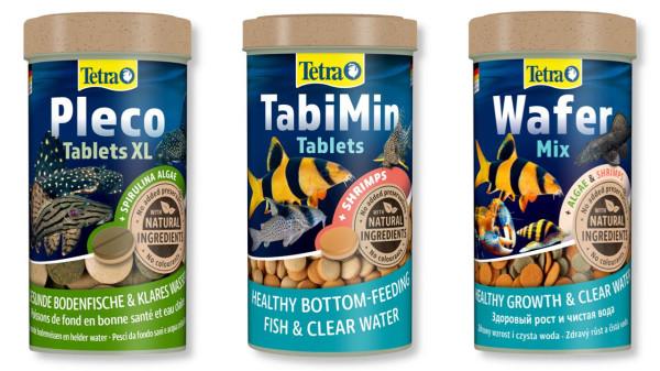 Абрамитес мраморный