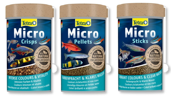 Данио леопардовый