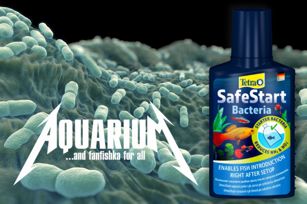 Tetra SafeStart вся правда!