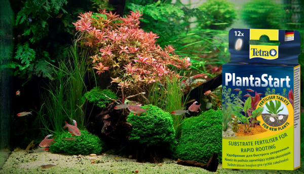 Удобрения для аквариумных растений Тетра - Tetra