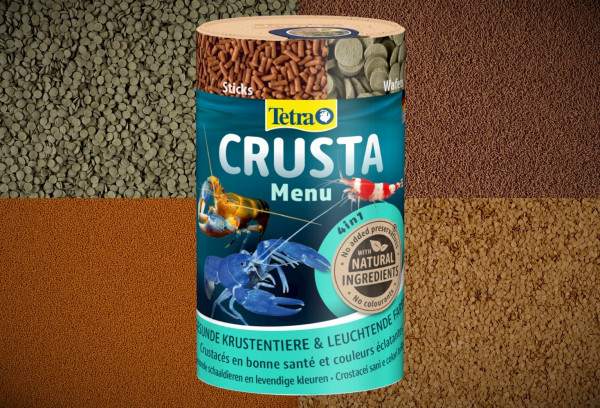 =Популярные виды аквариумных раков=