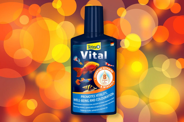 =Популярные виды аквариумных раков=